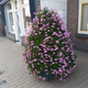 oh look! a pink tree